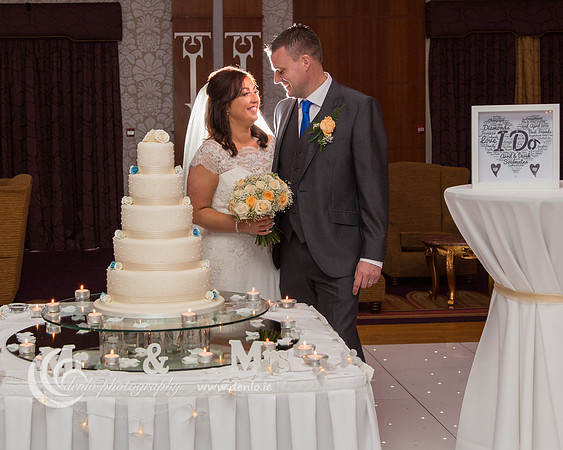Avril Derek Wedding Reception-0079