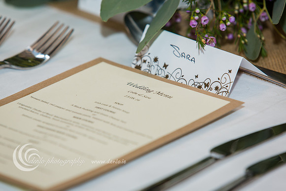 Durhamstown Castle Wedding Reception-4530