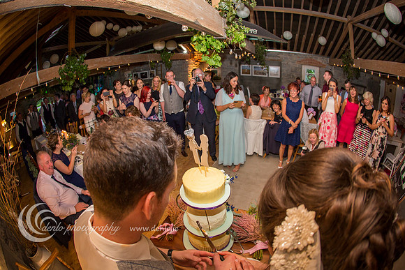 Durhamstown Castle Wedding Reception-4604