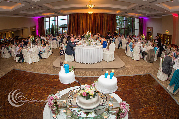 Sharon and Pauls wedding reception-4049