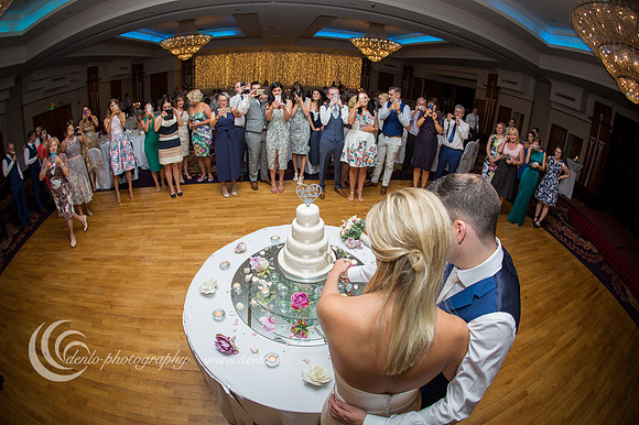 Wedding reception at Knightsbrook Hotel-1411