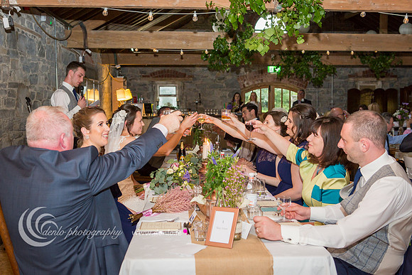 Durhamstown Castle Wedding Reception-2484