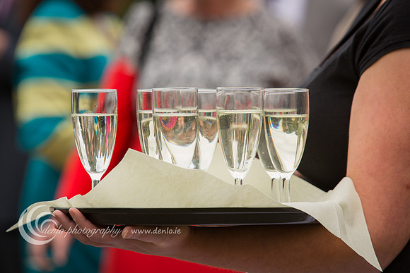 Durhamstown Castle Drinks Reception-4503