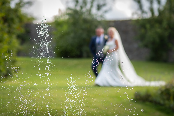 Bridal Party at Ballymagarvey-4632