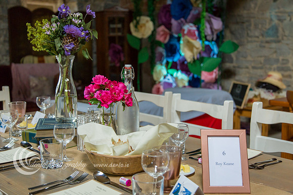 Durhamstown Castle Wedding Reception-3696
