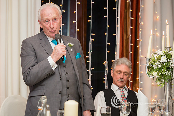 Bernie Dave Trim Castle Wedding-5191