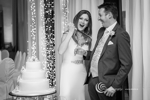 Bernie Dave Trim Castle Wedding-5114