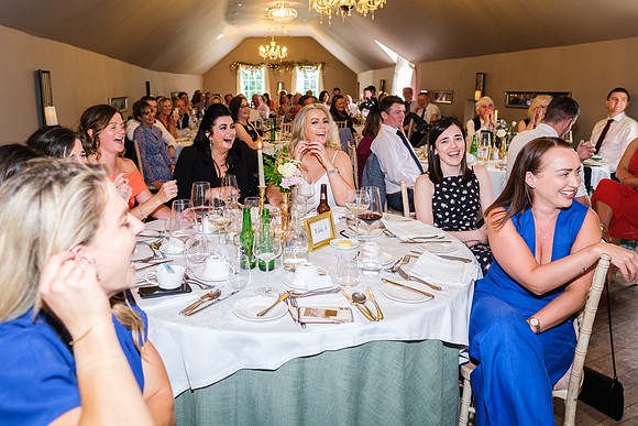 Boyne Hill House Wedding Reception of Michelle & Bronagh - 8783