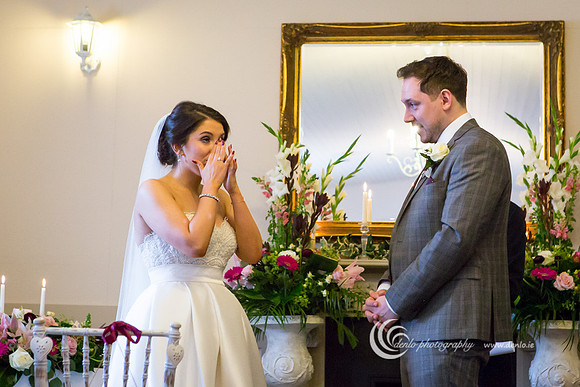 Amy and Sam Darver Castle Wedding-1703