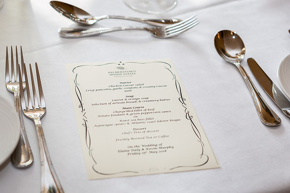 Elaine & Kevins wedding reception at Palmerstown Estate-0448