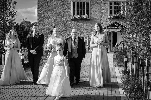Darver Castle bridal party Aoife Colin-2834