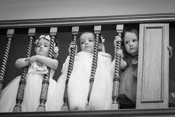 Andrea & Luke wedding at Palmerstown Estate-6883