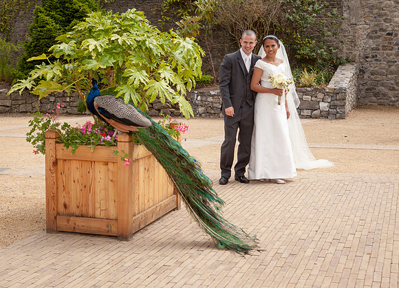 Nattaya & Ciarán Wedding.
